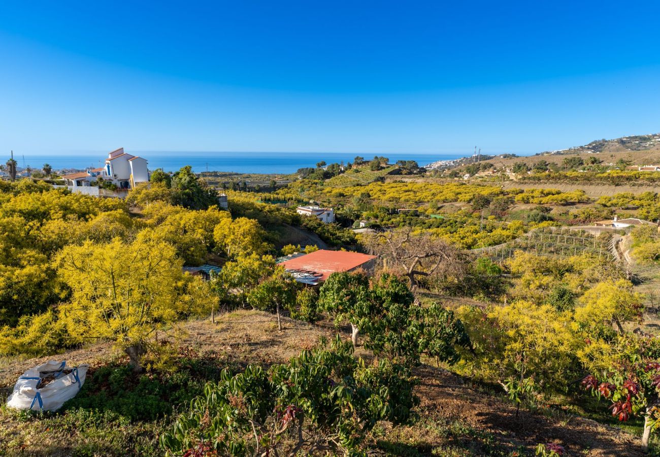 Landhaus in Nerja - Nerja 011