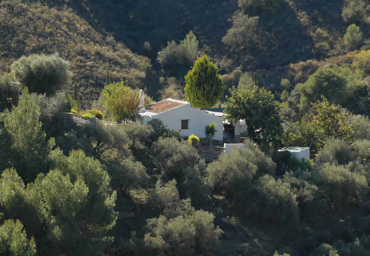 Landhaus in Frigiliana - Acebuchal 001 