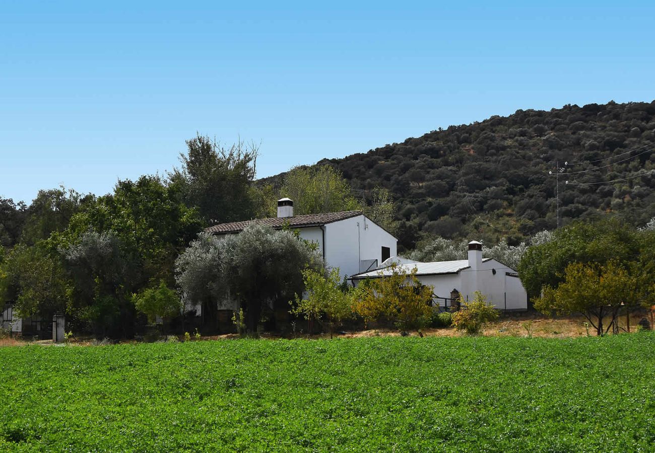 Landhaus in Aroche - Aracena 005