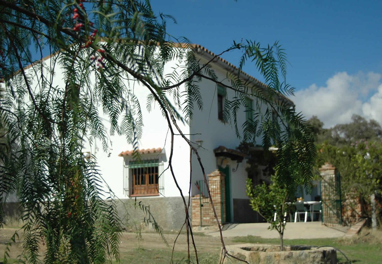 Landhaus in Aroche - Aracena 005