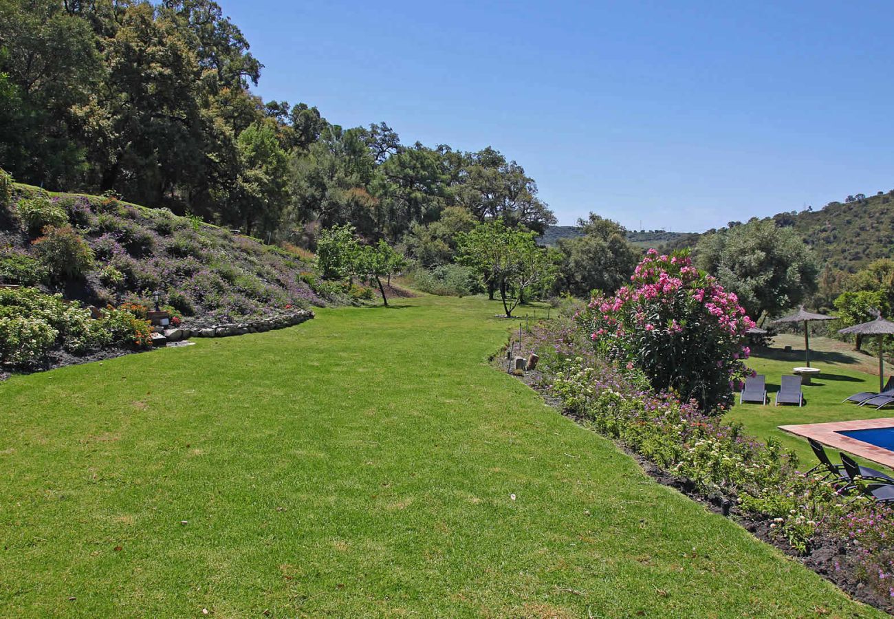 Villa in Casares - Casares 010