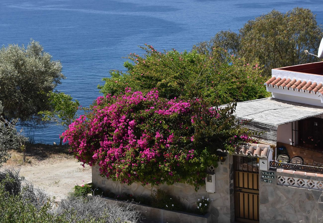 Villa in Nerja - Maro 001