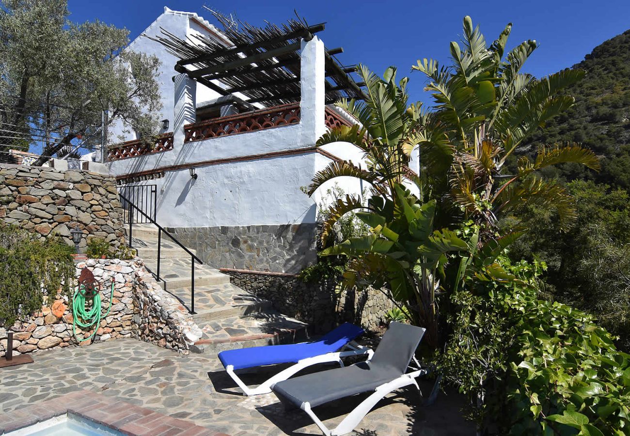 Villa in Frigiliana - Frigiliana 015