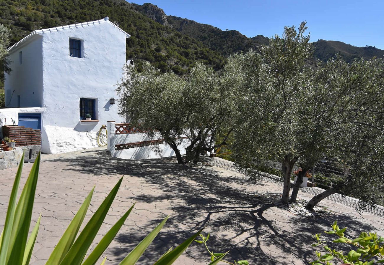 Villa in Frigiliana - Frigiliana 015