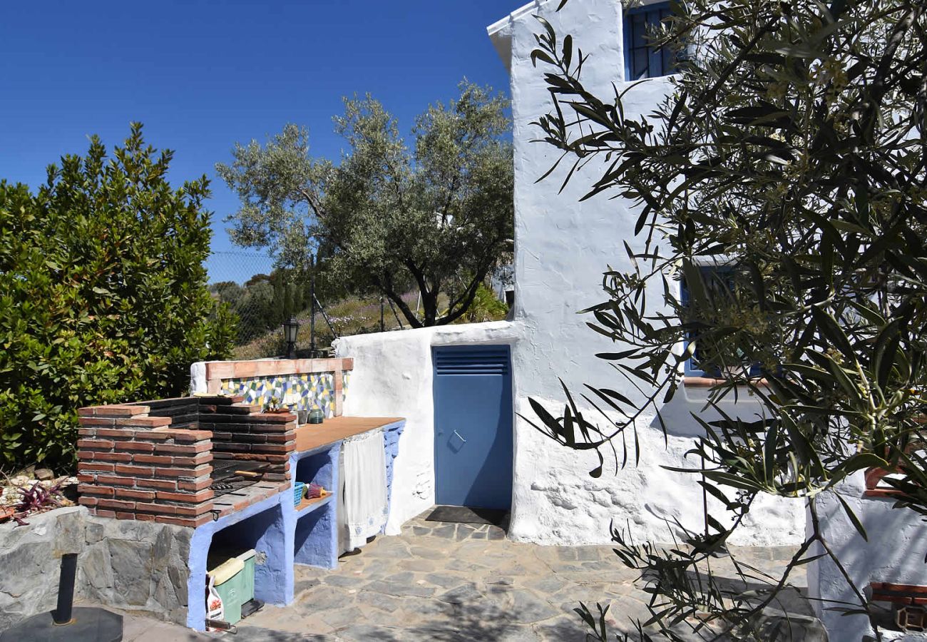 Villa in Frigiliana - Frigiliana 015