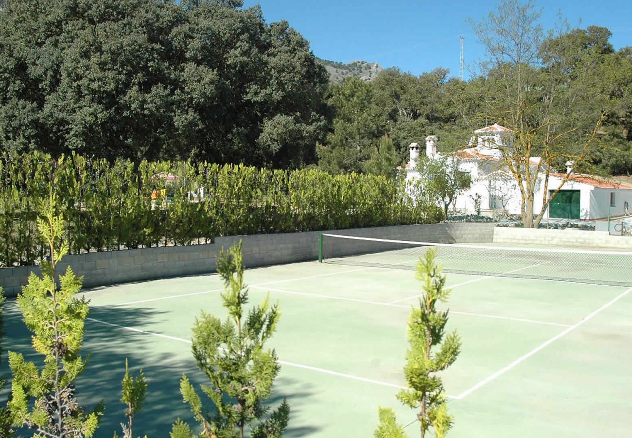 Landhaus in Alhama de Granada - Granada 003