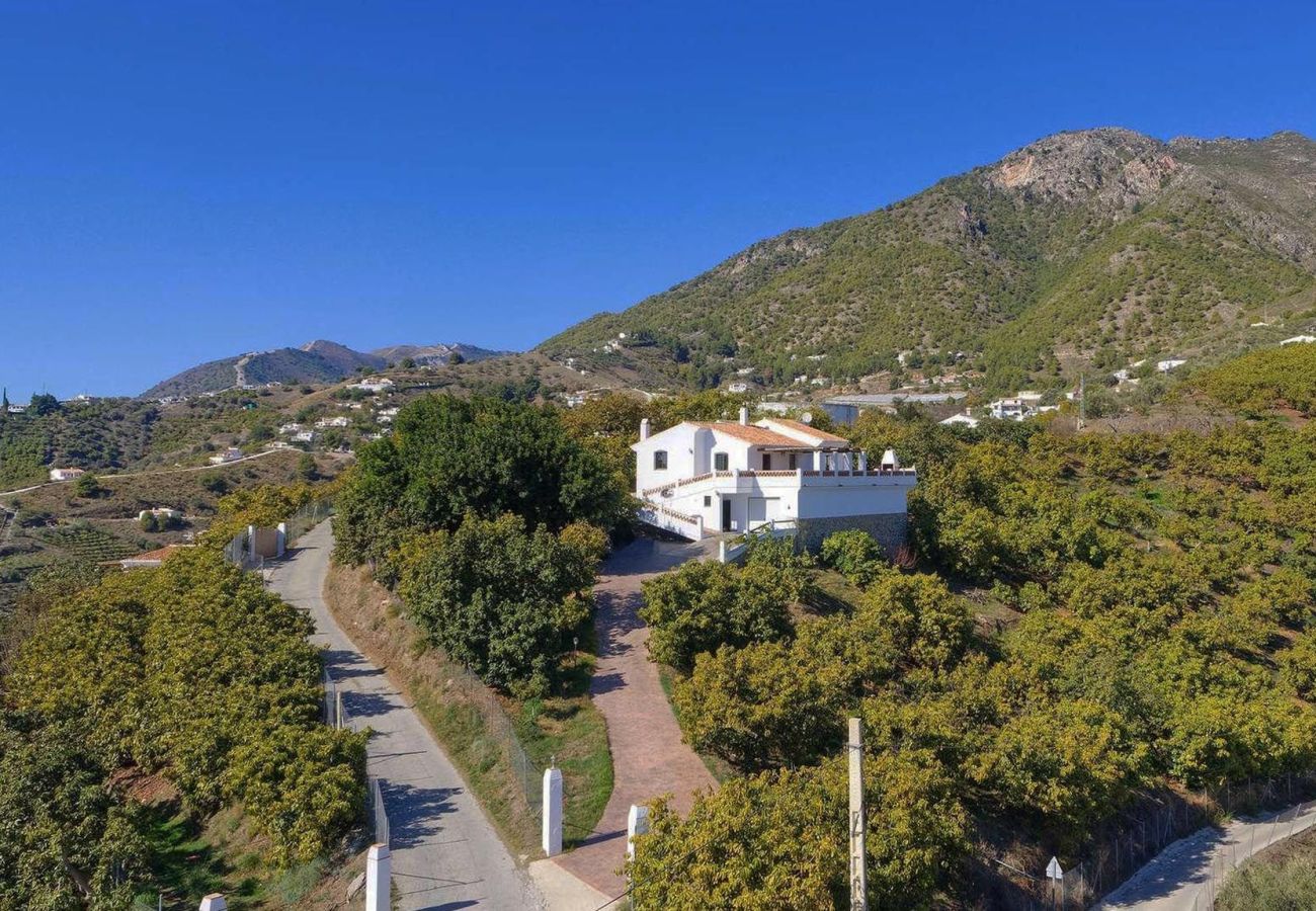 Villa in Frigiliana - Frigiliana 027